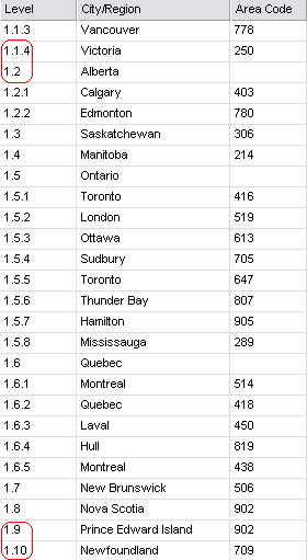Grid with columns Level, City/Region, and Area Code, sorted by LEVEL.
