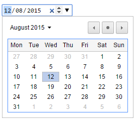 Date Picker in Chrome on Windows