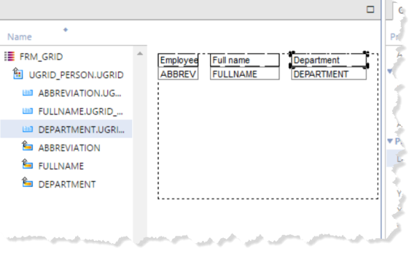 Fields and labels in Grid widget frame